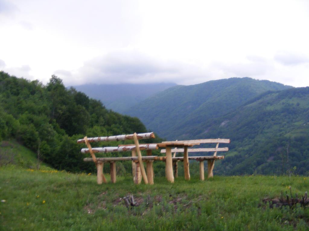 Hotel Domogled Băile Herculane エクステリア 写真
